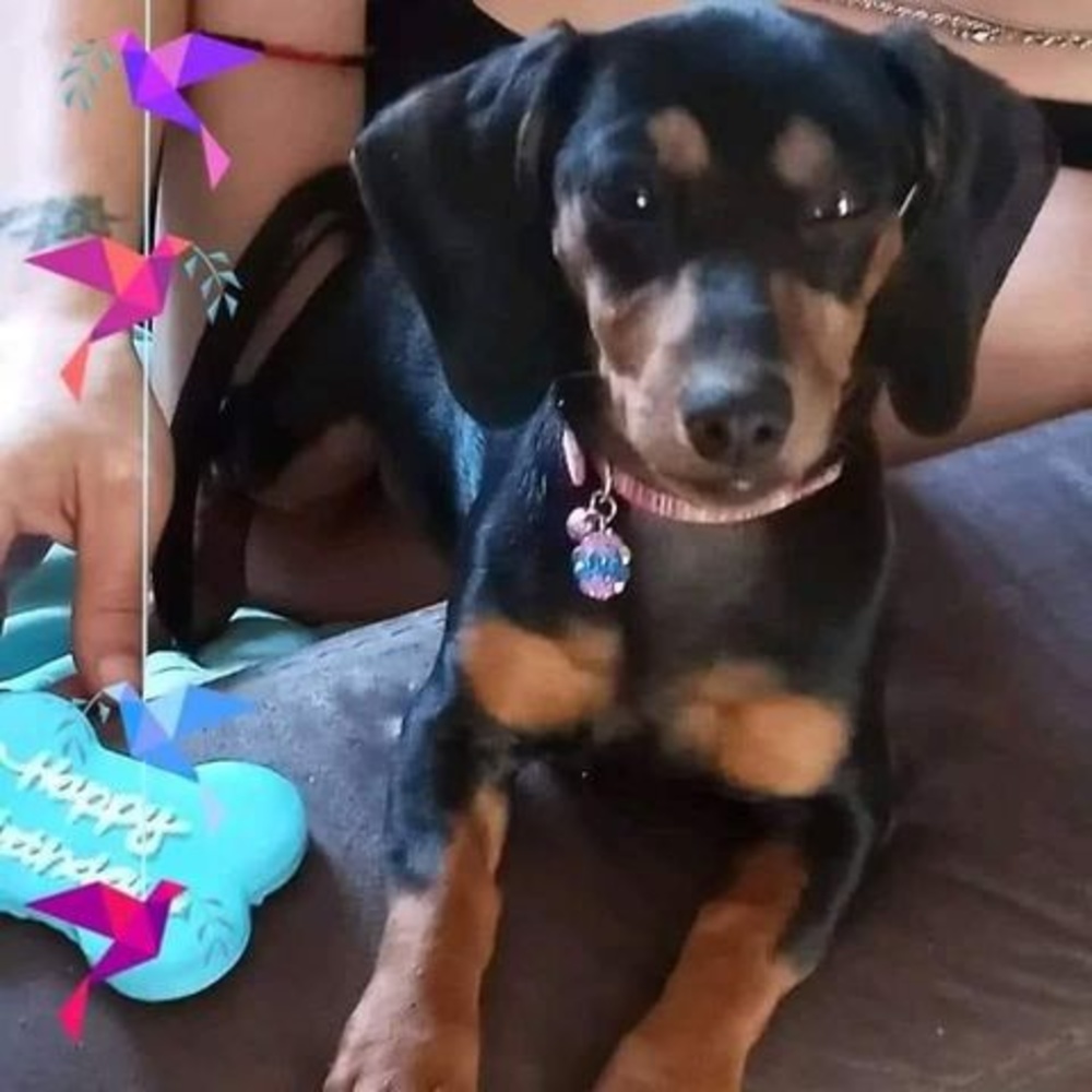 Meet your Posher, Amber